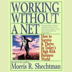 Working Without A Net|Schechtman, Morris R.