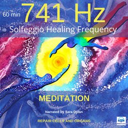 Solfeggio Healing Frequency 741 Hz Meditation 60 minutes|Dylan, Sara