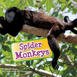 Spider Monkeys|Dunn, Mary R.