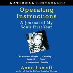 Operating Instructions|Lamott, Anne