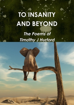 To Insanity and Beyond|Timothy J. Hurford