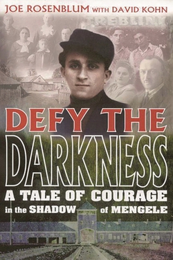 Defy the Darkness|Joe Rosenblum
