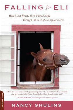 Falling for Eli|Nancy Shulins
