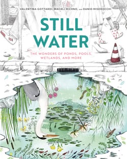 Still Water|Maciej Michno