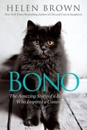 Helen Brown - Bono (Paperback)