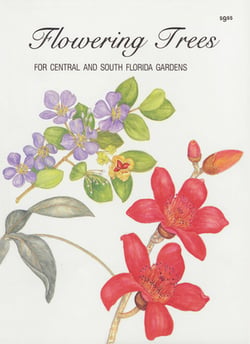 Flowering Trees for Central and South Florida Gardens|Maxine Fortune Schuetz