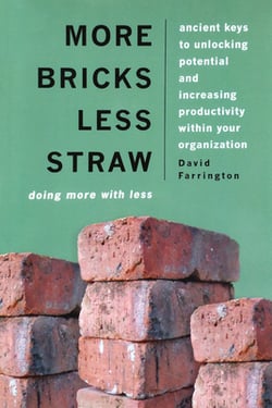 More Bricks Less Straw|Dave Farrington