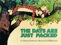 Bill Watterson - The Days Are Just Packed (Paperback)