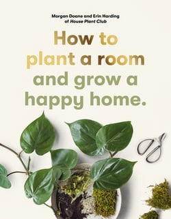 How to Plant a Room|Morgan Doane