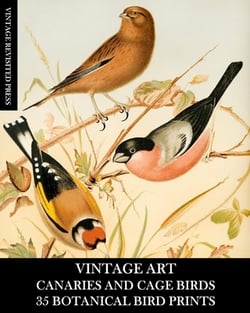 Vintage Art|Vintage Revisited Press