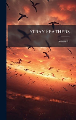 Stray Feathers|Anonymous