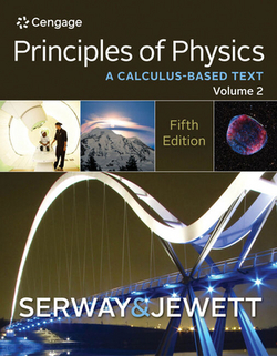 Principles of Physics|Raymond Serway