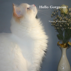 Hello Gorgeous|Naomi R. Heckler