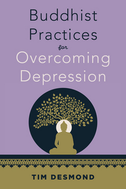 Buddhist Practices for Overcoming Depression|Tim Desmond