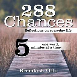 288 Chances|Brenda J. Otto