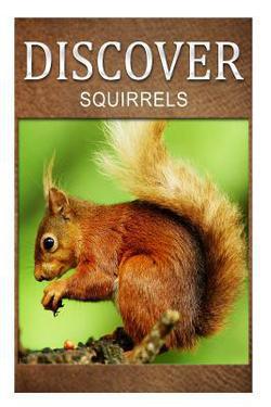 Squirrel - Discover|Discover Press