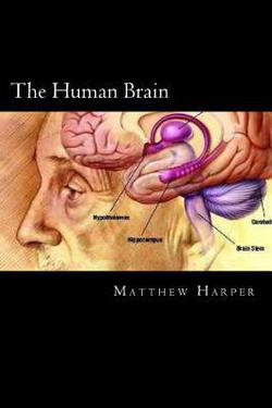 The Human Brain|Matthew Harper