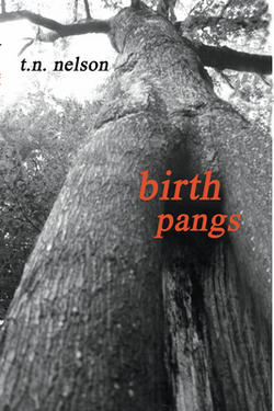 Birth Pangs|Tim Nelson