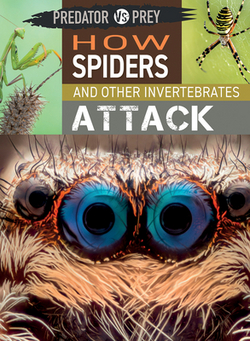 How Spiders and Other Invertebrates Attack|Tim Harris