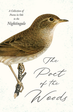 The Poet of the Woods - A Collection of Poems in Ode to the Nightingale|Various