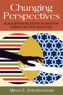 Changing Perspectives|Allison E. Schottenstein