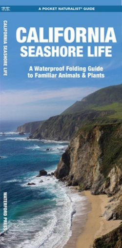 California Seashore Life, 2nd Ed|J. M. Kavanagh