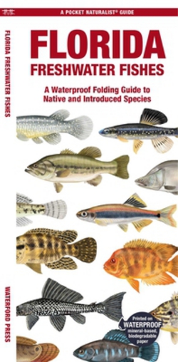 Florida Freshwater Fishes|Matthew Morris