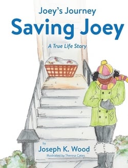 Saving Joey|Joseph K. Wood