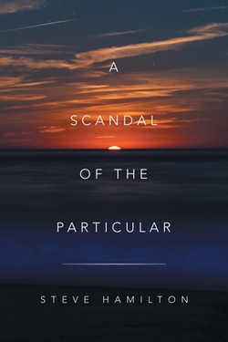 A Scandal of the Particular|Steve Hamilton