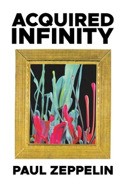 Acquired Infinity|Paul Zeppelin