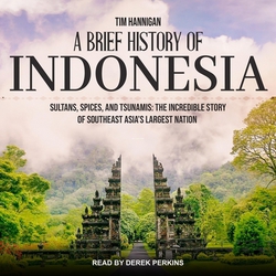 A Brief History of Indonesia|Tim Hannigan