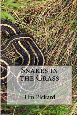 Snakes in the Grass|Tim Pickard