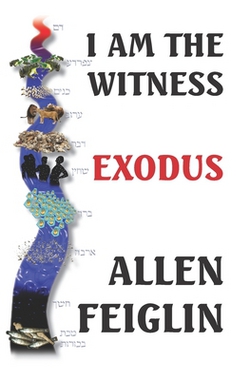 I Am The Witness|Allen Feiglin