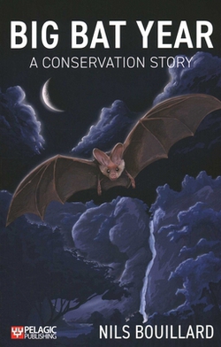 Big Bat Year|Nils Bouillard