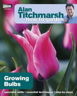 Alan Titchmarsh How to Garden|Alan Titchmarsh