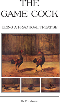 The Game Cock - Being a Practical Treatise on Breeding, Rearing, Training, Feeding, Trimming, Mains, Heeling, Spurs, Etc. (History of Cockfighting Ser|Ed James