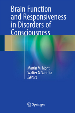 Brain Function and Responsiveness in Disorders of Consciousness|Martin M. Monti