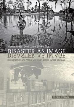 Disaster as Image|Monica Juneja