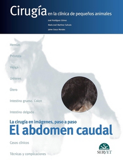El Abdomen Caudal. Cirugía En La Clínica de Pequeños Animales|Rodriguez Gomez
