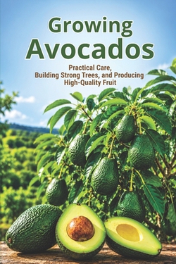 Growing Avocados|Svitana