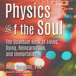 Physics of the Soul Lib/E|Sean Runnette