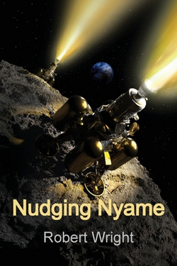 Nudging Nyame|Robert Wright
