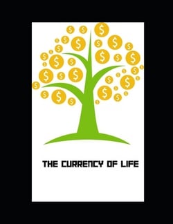 The Currency of Life|Vishnu Priya Rajan