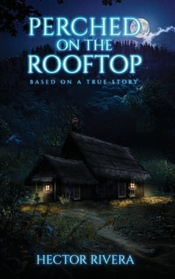 Perched On The Rooftop|Hector Rivera