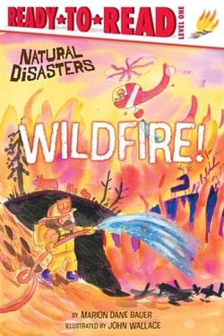 Wildfire!|Marion Dane Bauer