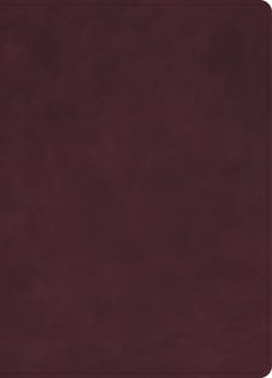 KJV Single-Column Wide-Margin Bible, Holman Handcrafted Collection, Marbled Burgundy Premium Calfskin|Holman Bible Publishers