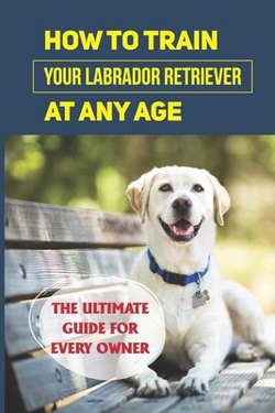 How To Train Your Labrador Retriever At Any Age|Terry Sobolik