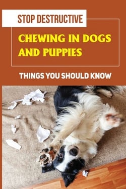 Stop Destructive Chewing In Dogs And Puppies|Darrell Heaivilin