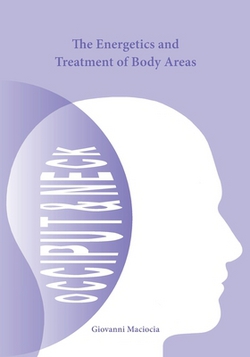 The Energetics and Treatment of Body Areas|Giovanni Maciocia