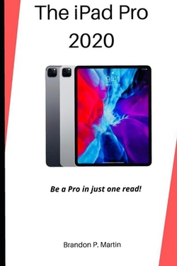 The iPad Pro 2020|Brandon P. Martin